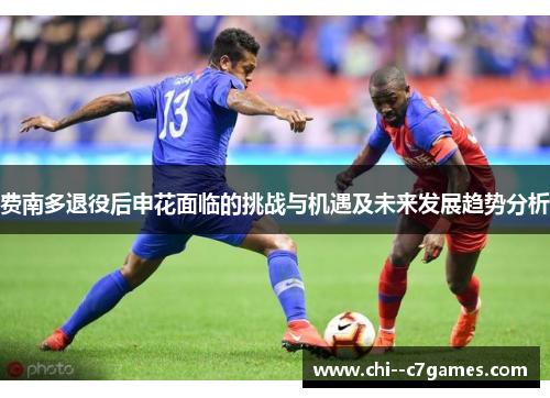 费南多退役后申花面临的挑战与机遇及未来发展趋势分析