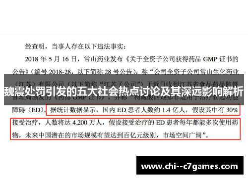 魏震处罚引发的五大社会热点讨论及其深远影响解析