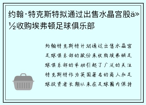 约翰·特克斯特拟通过出售水晶宫股份收购埃弗顿足球俱乐部