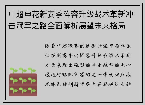 中超申花新赛季阵容升级战术革新冲击冠军之路全面解析展望未来格局