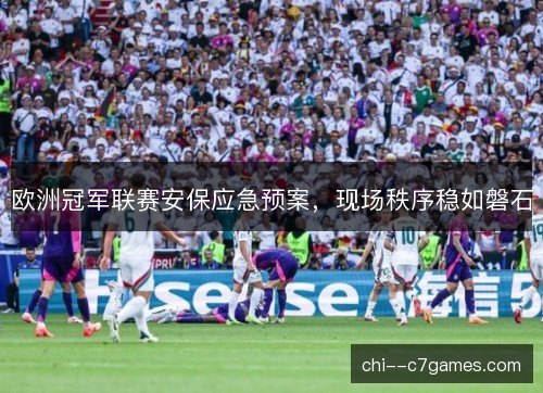 欧洲冠军联赛安保应急预案,现场秩序稳如磐石 欧洲冠军联赛安保应急预案,现场秩序稳如磐石